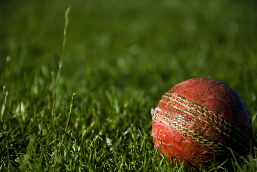 Photo representing Cricket