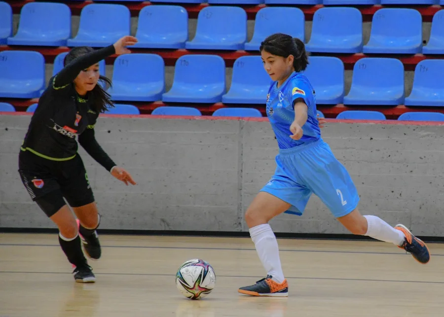 Photo representing Futsal